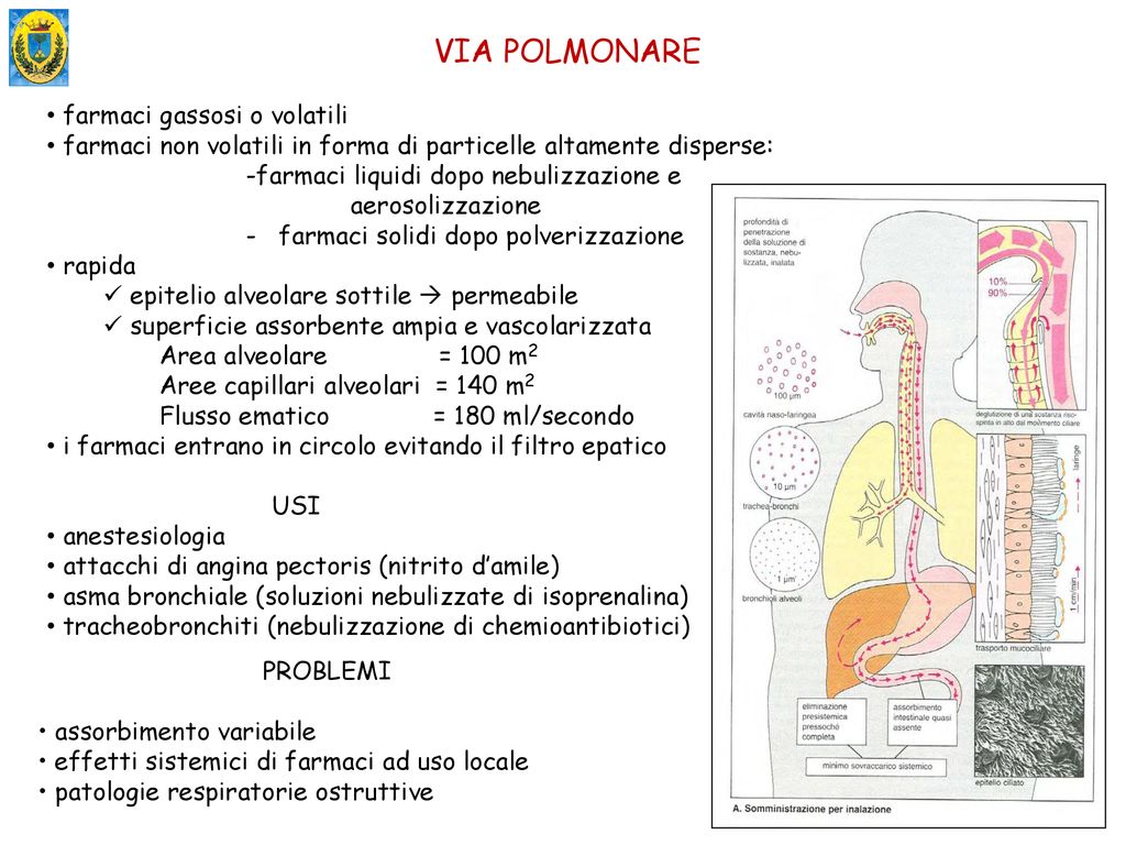 Farmacocinetica Ppt Scaricare